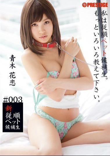 BRA-003 Studio Prestige New Pet Training #003 Karen Aoki