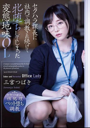 ADN-388 Studio Attackers Supervisor That Engages In Sexual Harassment Gives Non-stop Breaking In At Work To Make This Modest Office Lady Totally Lewd. Tsubaki Sannomiya