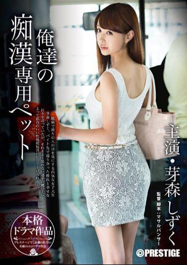 ABP-204 Studio Prestige Our Own Molester Pet Shizuku Memori