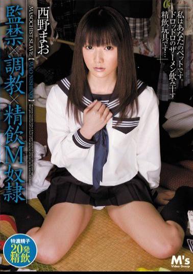 MVSD-149 Studio M's Video Group  Confinement x Training x Semen D***king Masochistic S***e Mao Nishino