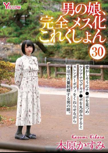 HERY-133 Man's Daughter, Completely Female Collection 30 Kasumi Kihara