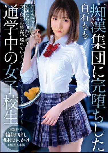 T-38003 Momo Shiraishi, A Schoolgirl Commuting To School Who Completely Fell Into A Group Of Molesters