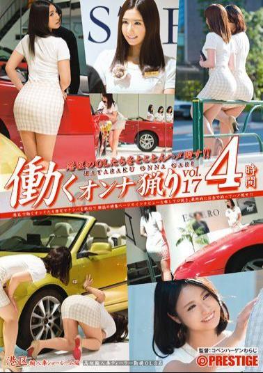 Mosaic YRH-073 Work Woman Ryori Vol.17