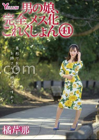 HERY-148 Male Daughter, Complete Female Collection 41 Tachibana Serina