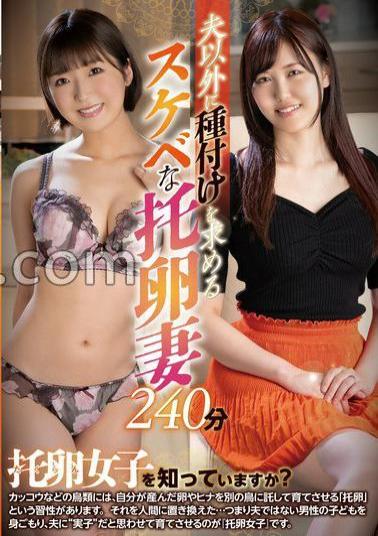 SAN-268 240 Minutes Of A Lewd Egg-hunting Wife Who Seeks Insemination From Someone Other Than Her Husband.