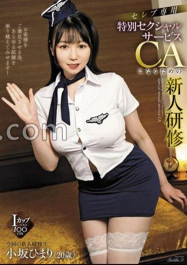 AVSA-344 Celebrity Only Special Sexual Service New Employee Training To Become A CA Himari Kosaka