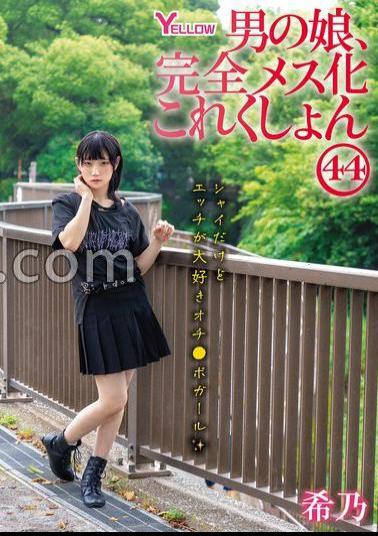 HERY-152 Male Daughter, Complete Female Collection 44 Kino