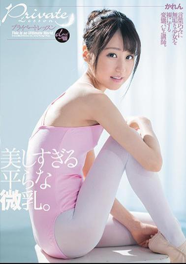 Mosaic DASD-701 Private Lesson Flat Milk That Is Too Beautiful. Karen