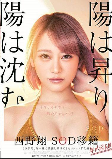English Sub STARS-113 The Sun Rises And The Sun Sinks Sho Sho Nishino Resigned Within The Year Retirement Within The Year 15 Years, Legendary Actress Who Has Been Active On The Front Line What Do You Think Now ... Naked Document