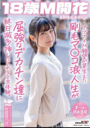 Mosaic SDAB-336 A Hairy Pussy College Student With A Dangerous Masochistic Desire Is Fucked Hard By Big Dicks All Day Long In Tokyo. Sakuraba Nanoka, A Resident Of Matsumoto City, Nagano Prefecture