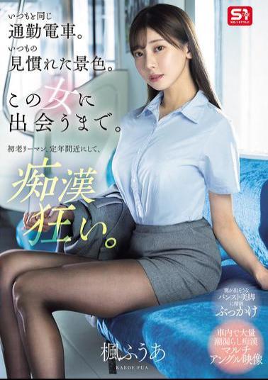SONE-760 The Same Commuter Train As Always. The Same Familiar Scenery. Until I Met This Woman. A Middle-aged Businessman Nearing Retirement Age, He's A Pervert. Kaede Fua