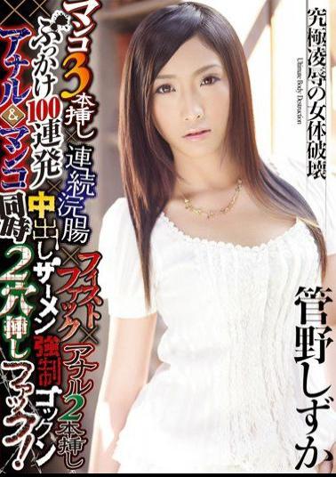 DASD-131 Simultaneous Insertion Hole 2 × Gokkun Fuck Anal & Pussy Semen Bukkake Cream Pies × 100 × Cuttings This Barrage × × Anal Fisting Enema 2 × Interpolating Three Consecutive Pussy! Shizuka Kanno