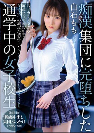Mosaic T38-003 Momo Shiraishi, A Schoolgirl Commuting To School Who Completely Fell Into A Group Of Molesters
