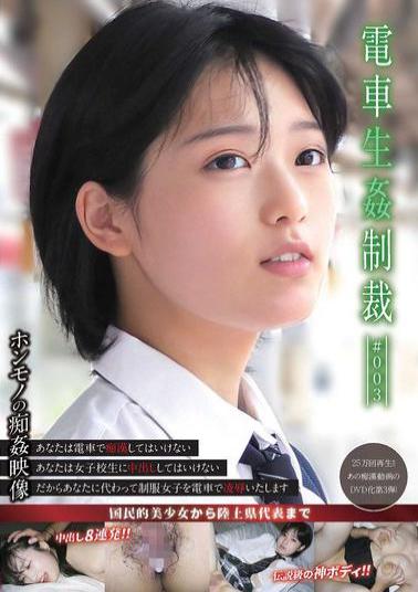 YDNS-003 Train Sex Punishment #003