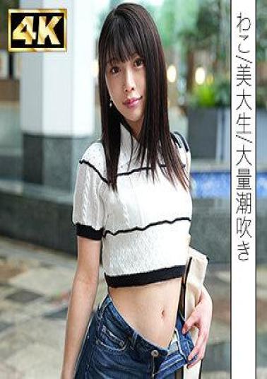 SIMF-003 Wako