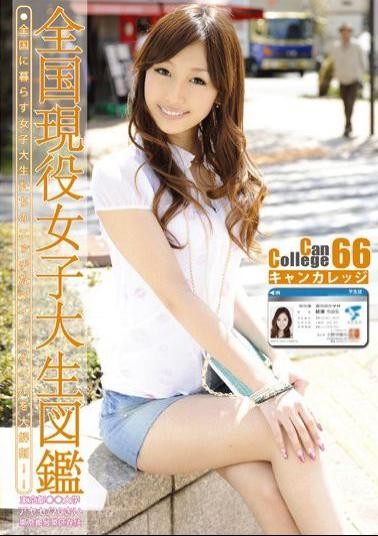 Mosaic EVO-136 Can College 66